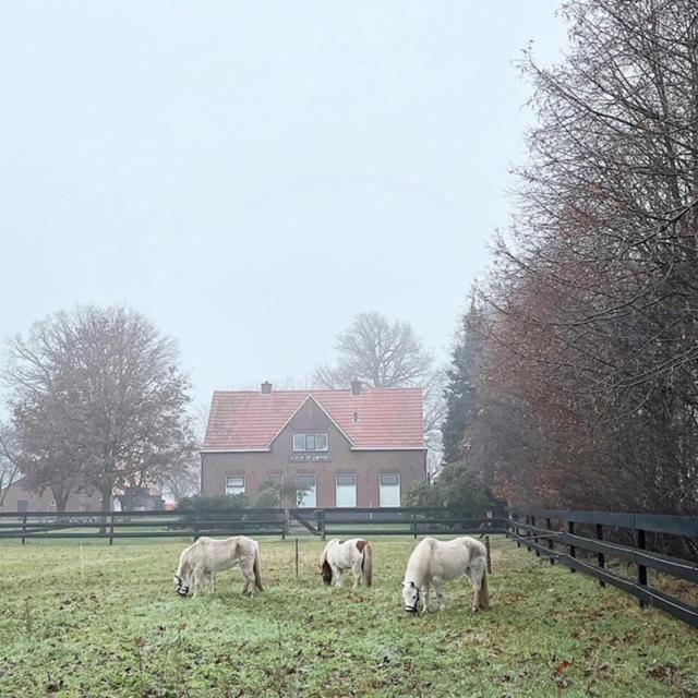 Hoeve De Snippert 赫龙洛 外观 照片