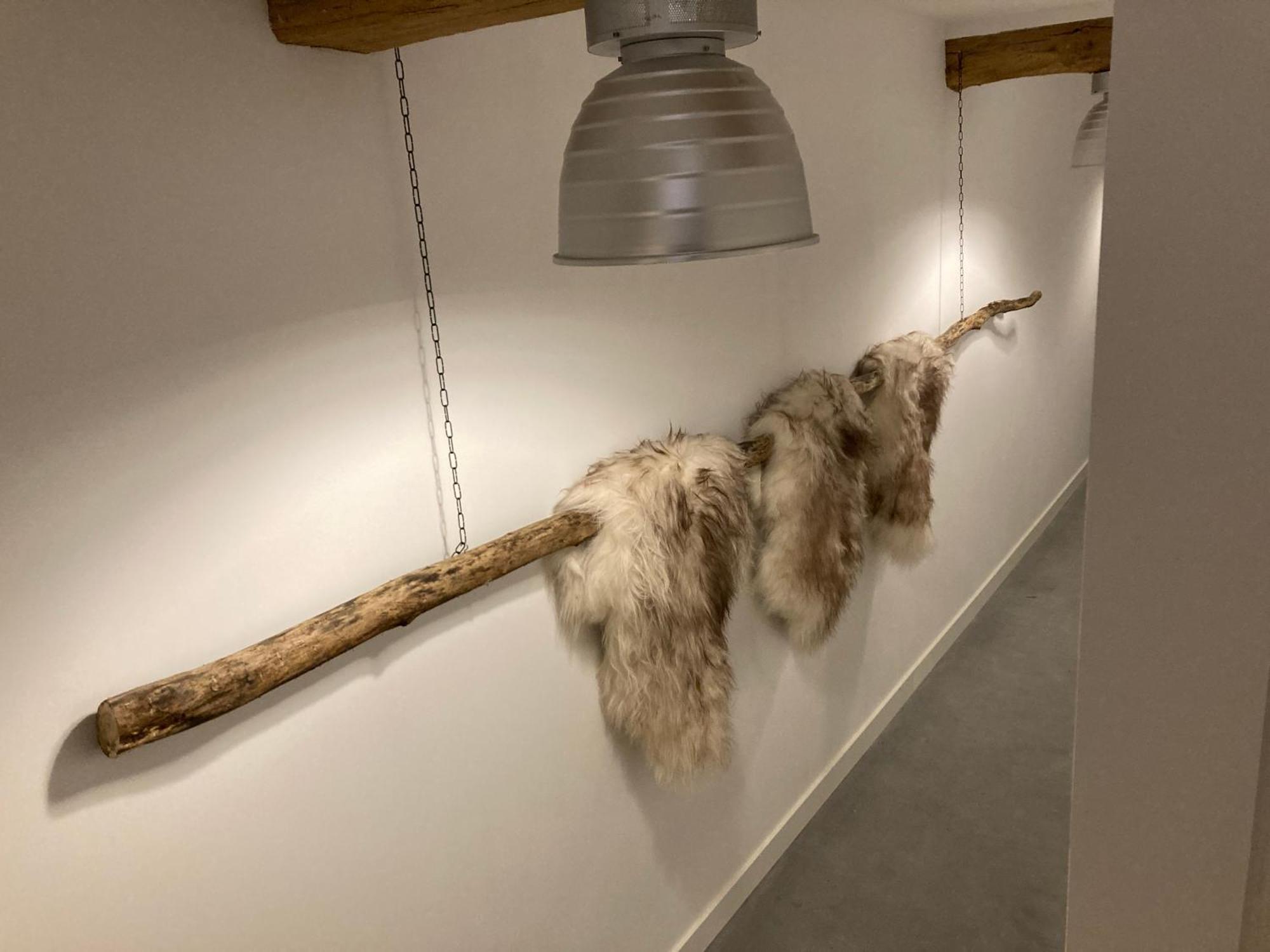 Hoeve De Snippert 赫龙洛 外观 照片