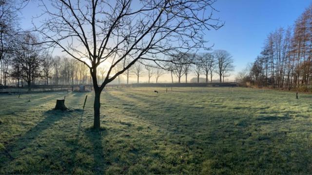 Hoeve De Snippert 赫龙洛 外观 照片