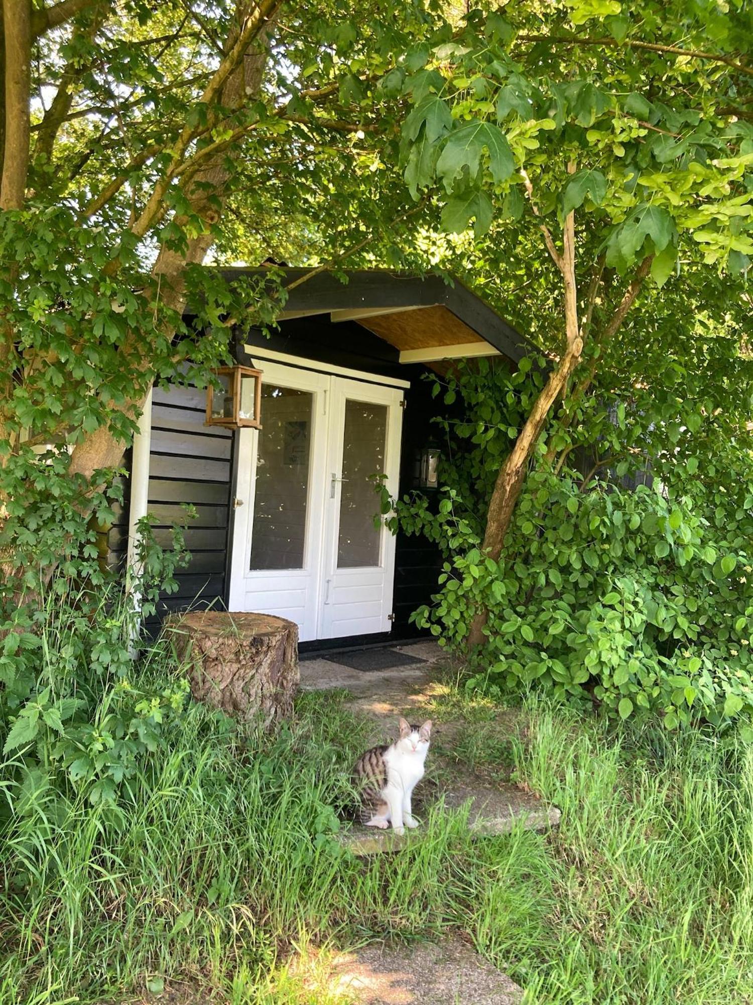 Hoeve De Snippert 赫龙洛 外观 照片
